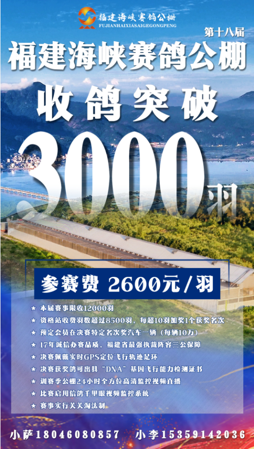 3000羽.png